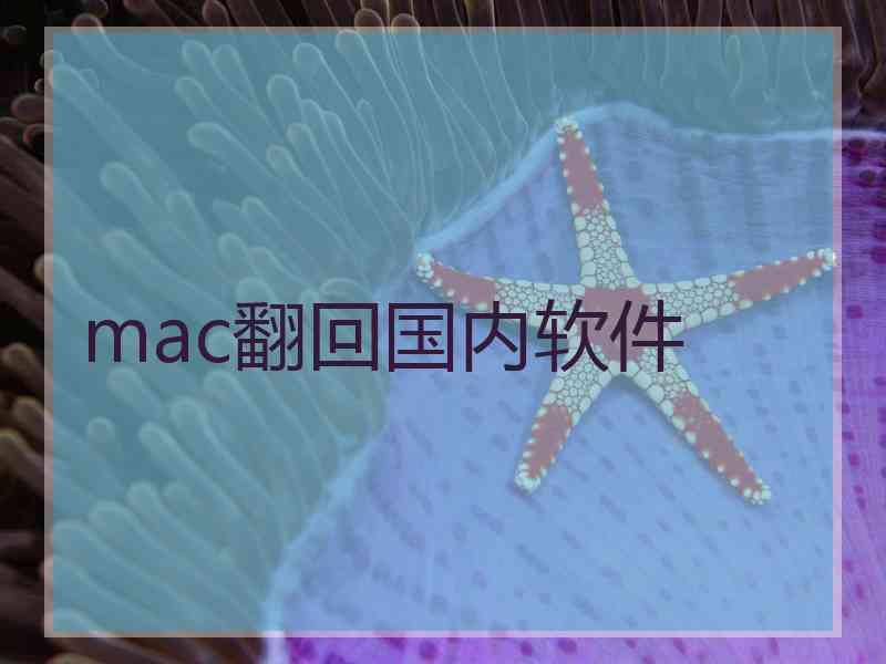 mac翻回国内软件