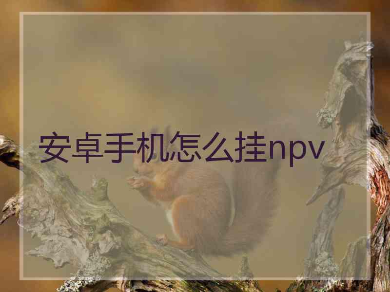 安卓手机怎么挂npv