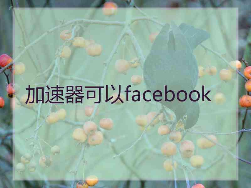 加速器可以facebook