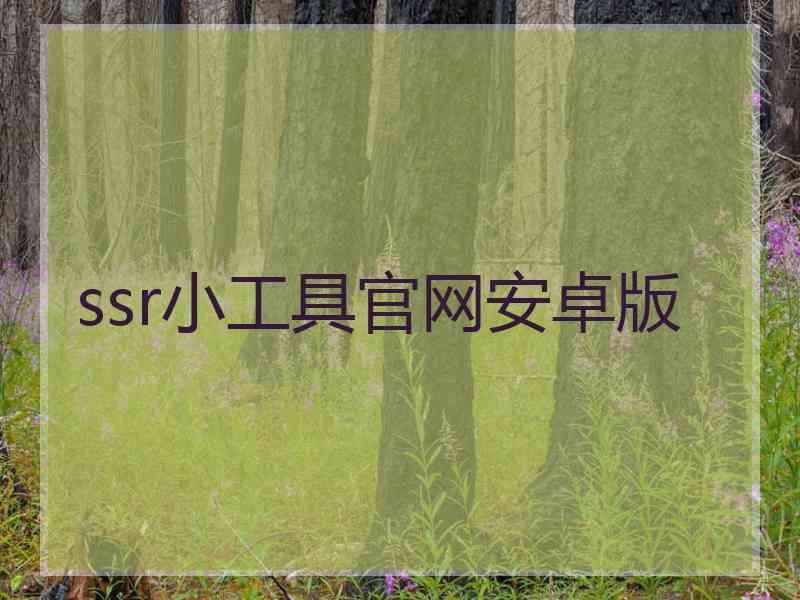 ssr小工具官网安卓版