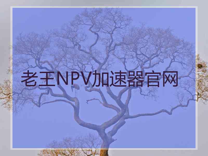 老王NPV加速器官网