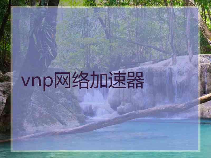 vnp网络加速器