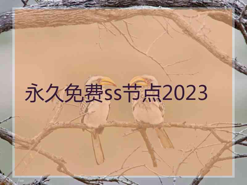 永久免费ss节点2023