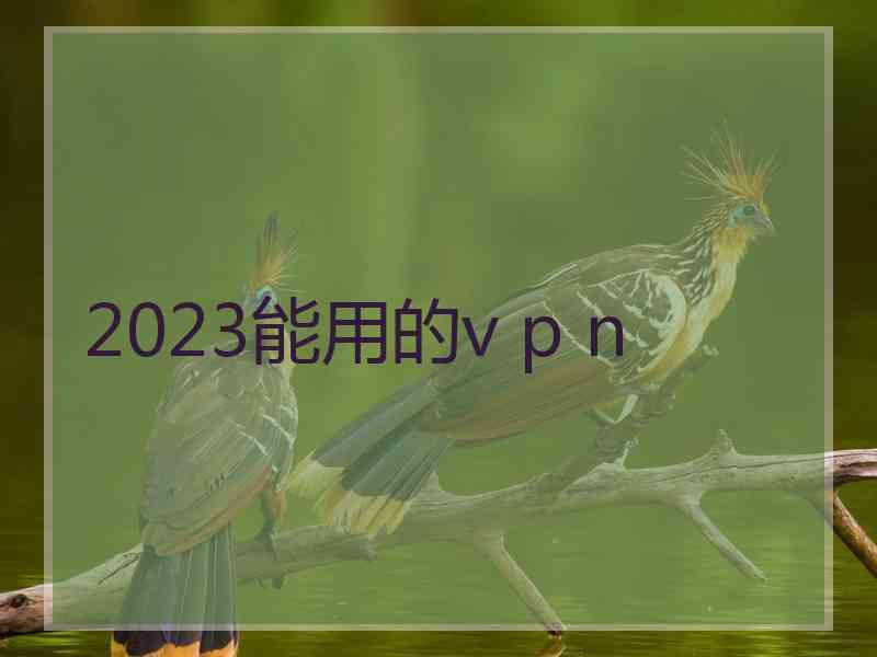 2023能用的v p n