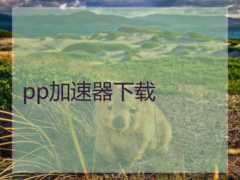 pp加速器下载