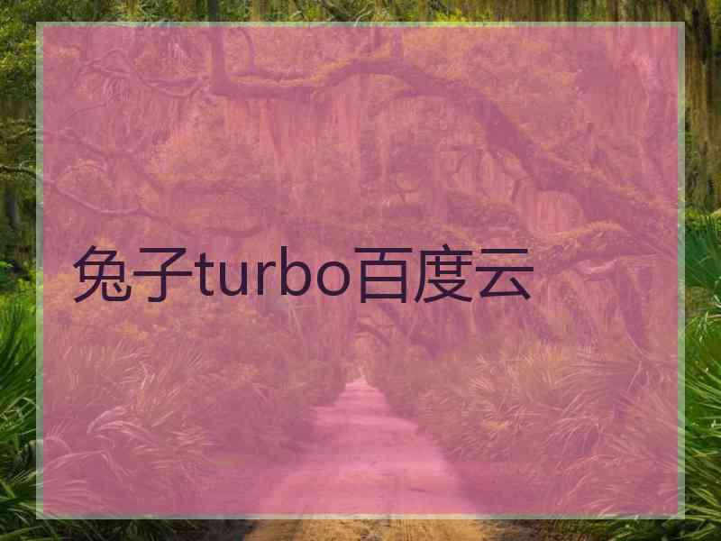 兔子turbo百度云