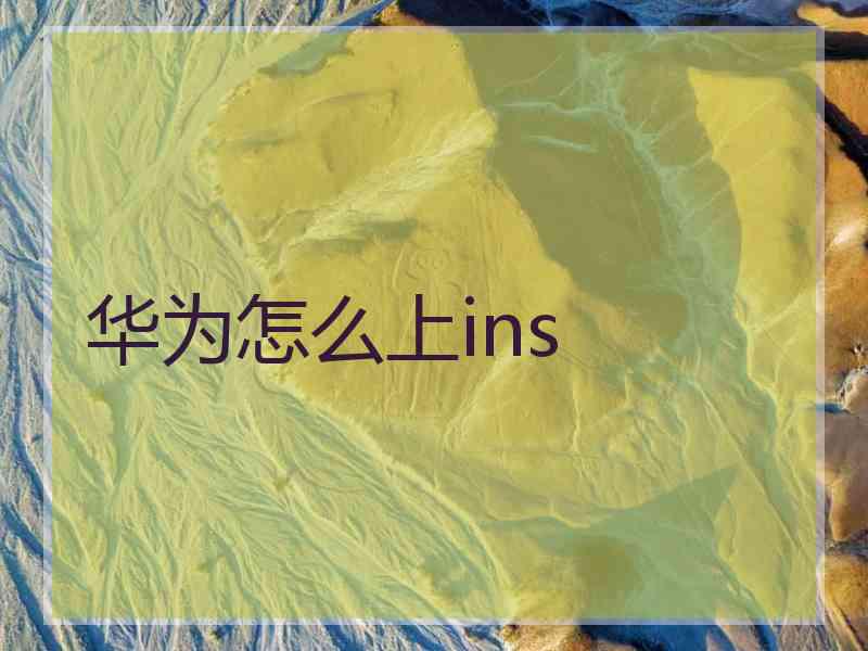 华为怎么上ins