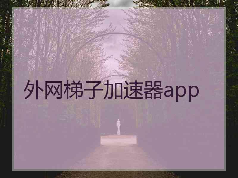 外网梯子加速器app