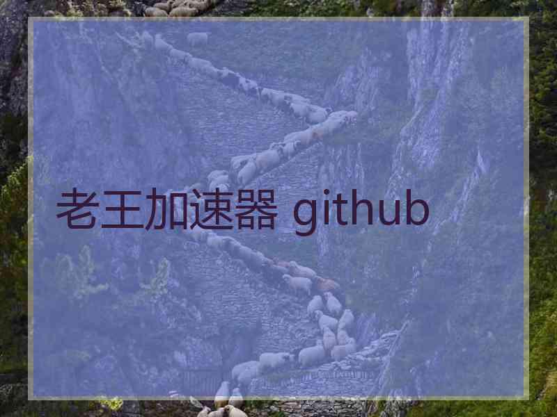 老王加速器 github