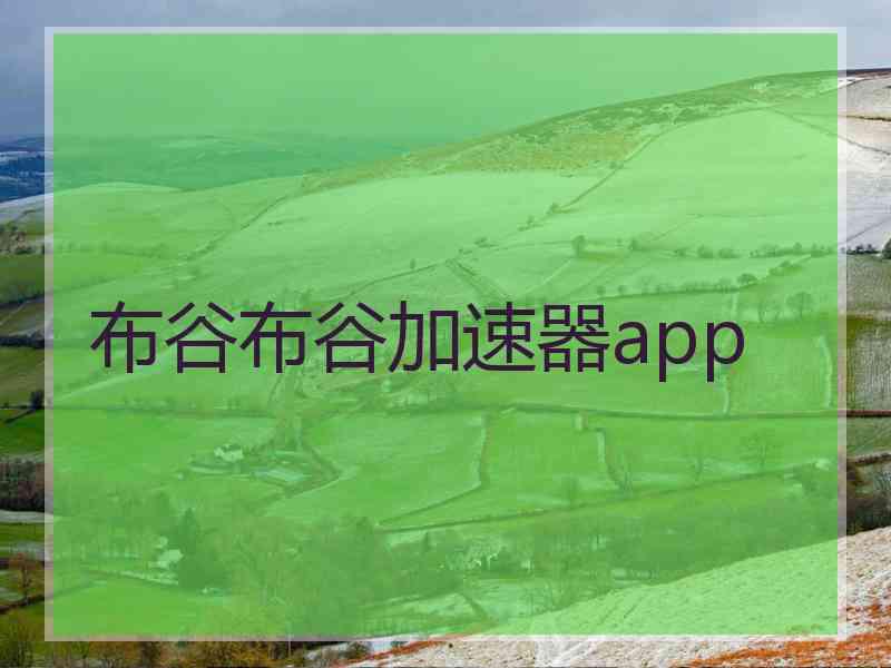 布谷布谷加速器app