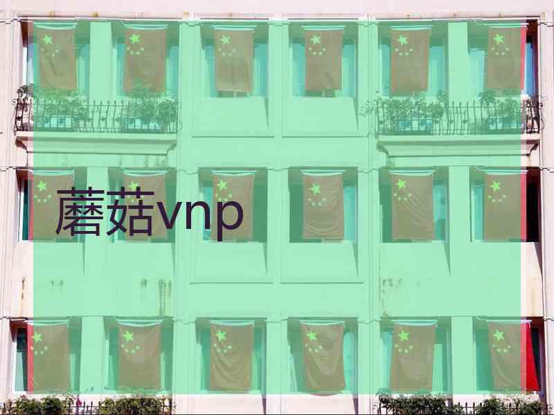 蘑菇vnp