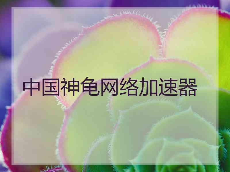 中国神龟网络加速器