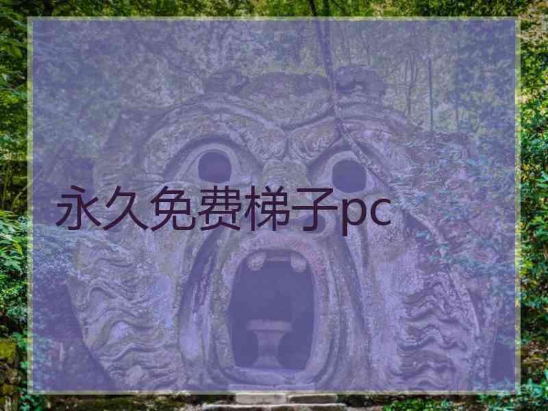 永久免费梯子pc