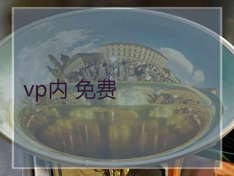 vp内 免费