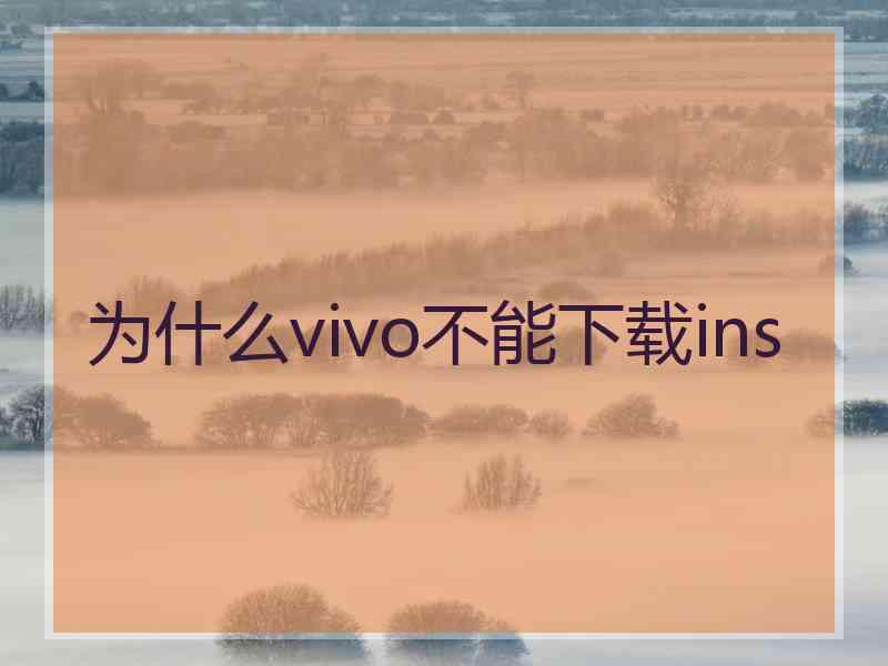 为什么vivo不能下载ins