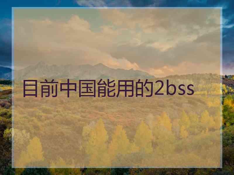 目前中国能用的2bss