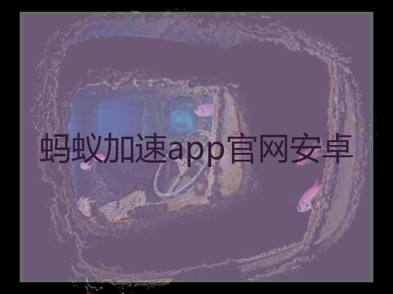 蚂蚁加速app官网安卓