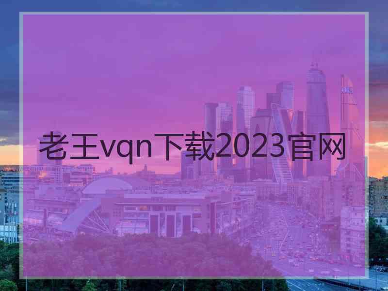 老王vqn下载2023官网