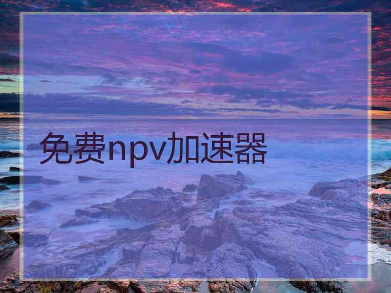 免费npv加速器