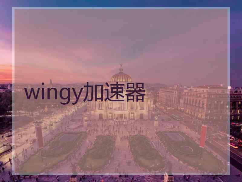 wingy加速器