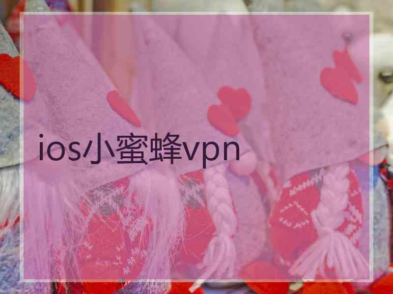 ios小蜜蜂vpn