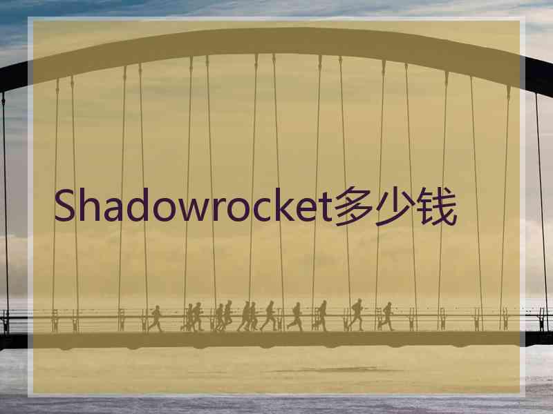 Shadowrocket多少钱