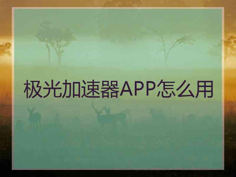 极光加速器APP怎么用