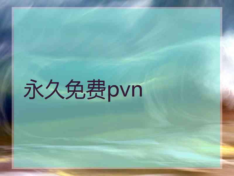 永久免费pvn