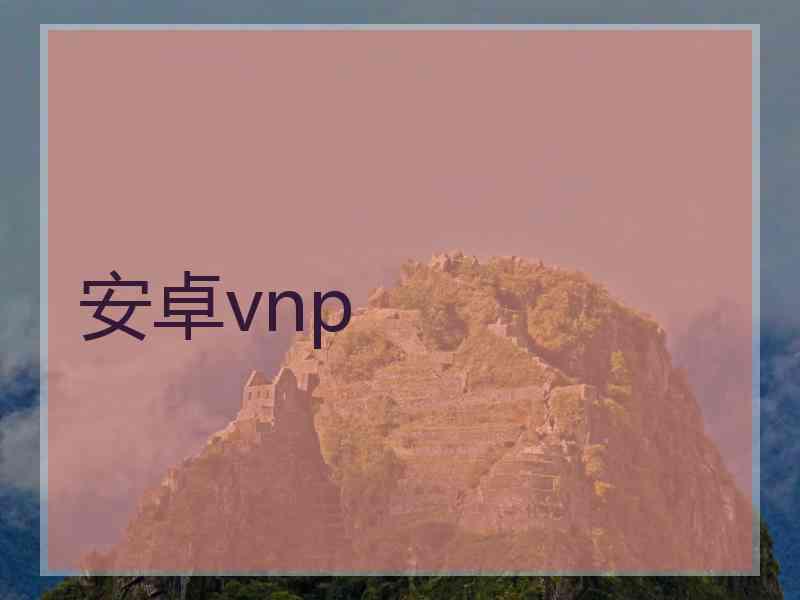 安卓vnp