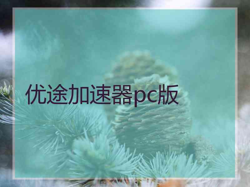 优途加速器pc版