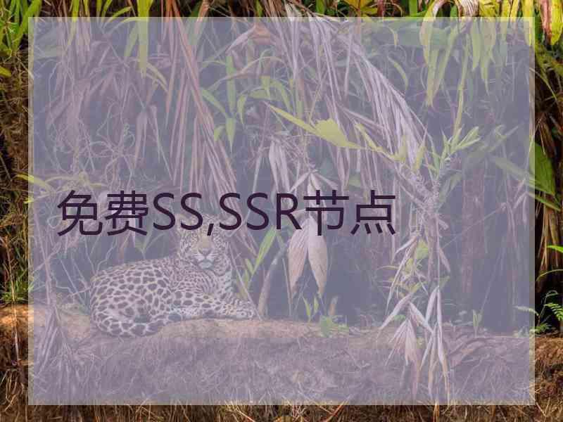 免费SS,SSR节点