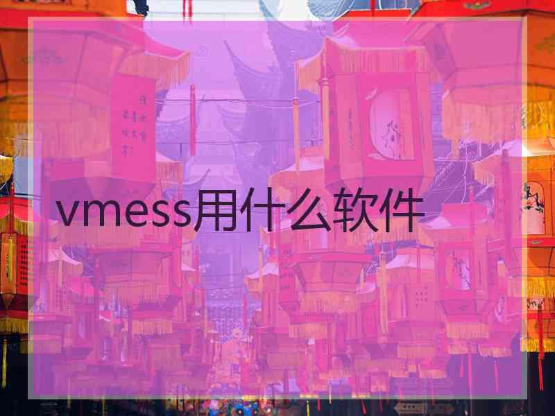 vmess用什么软件