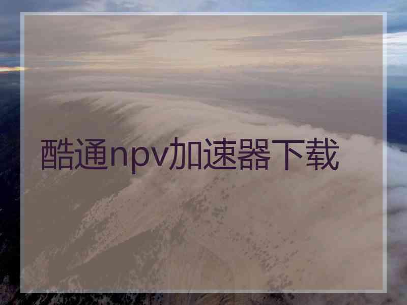 酷通npv加速器下载