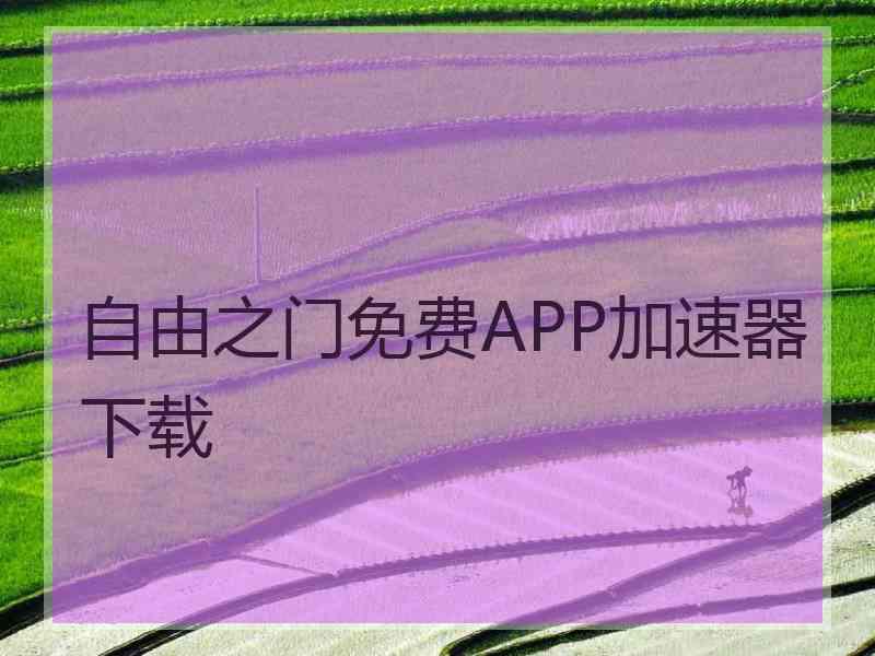 自由之门免费APP加速器下载