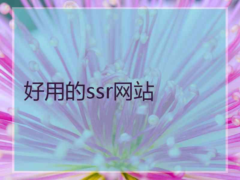 好用的ssr网站