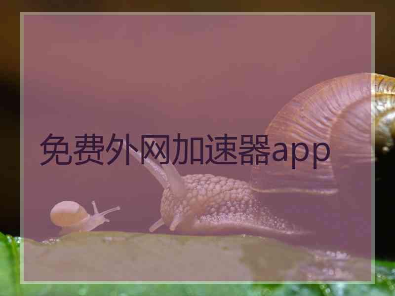 免费外网加速器app