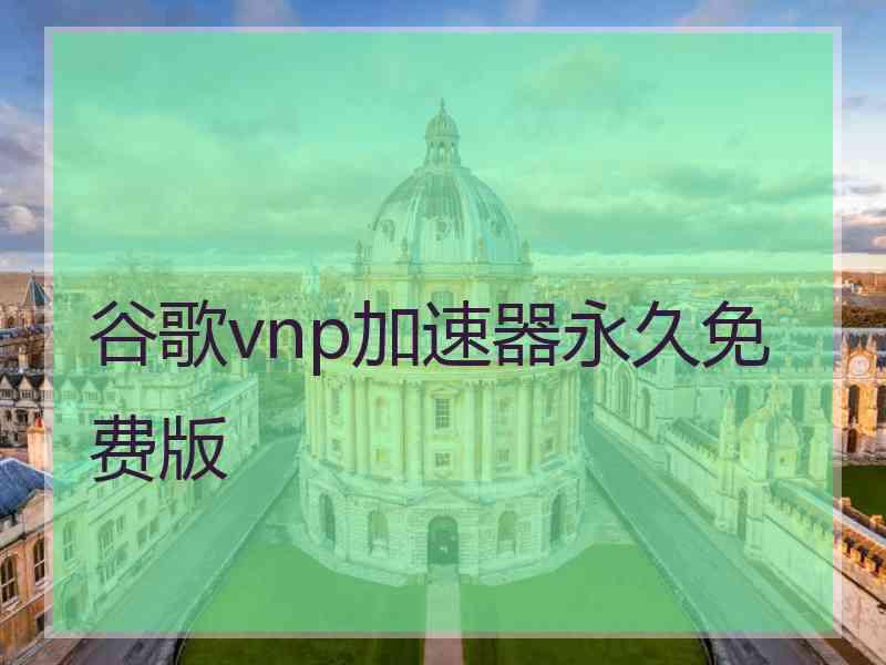 谷歌vnp加速器永久免费版