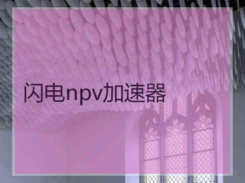 闪电npv加速器