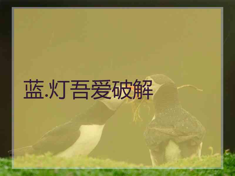 蓝.灯吾爱破解