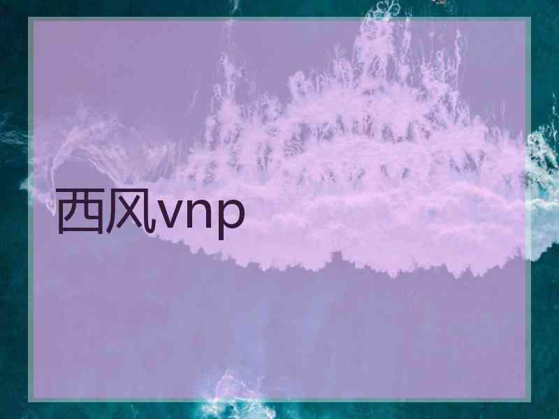 西风vnp