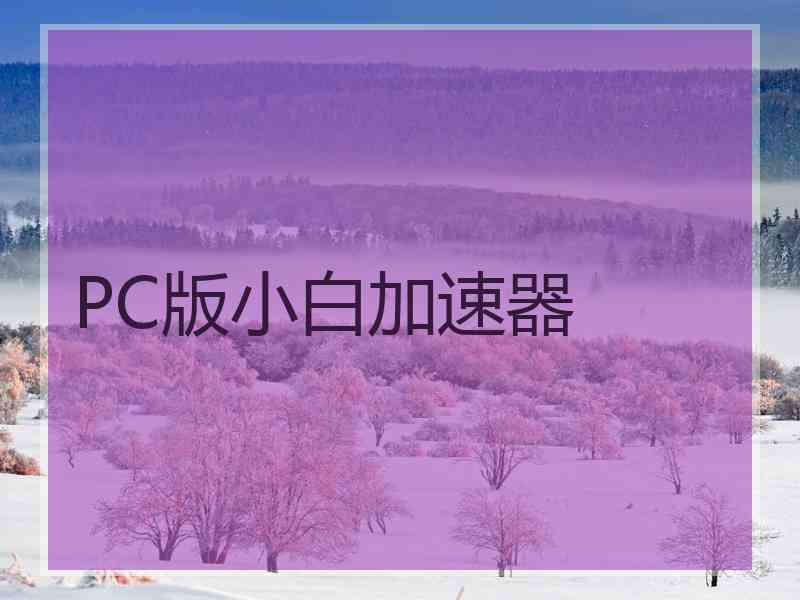 PC版小白加速器