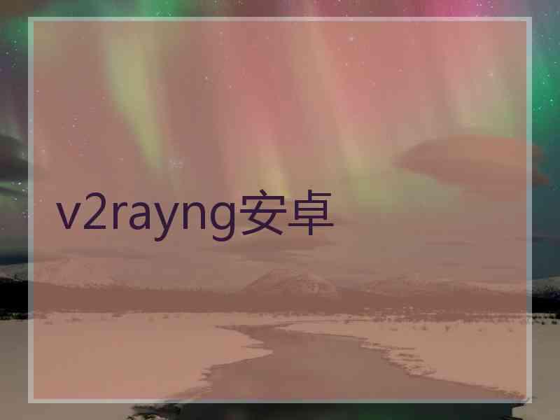 v2rayng安卓