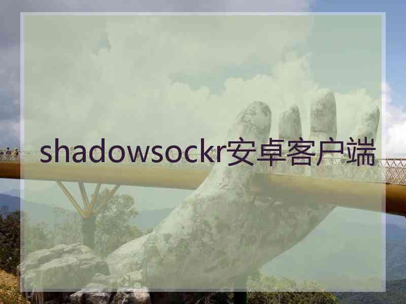 shadowsockr安卓客户端