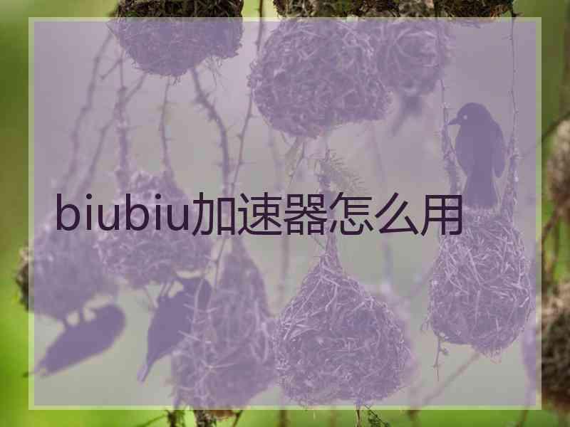 biubiu加速器怎么用