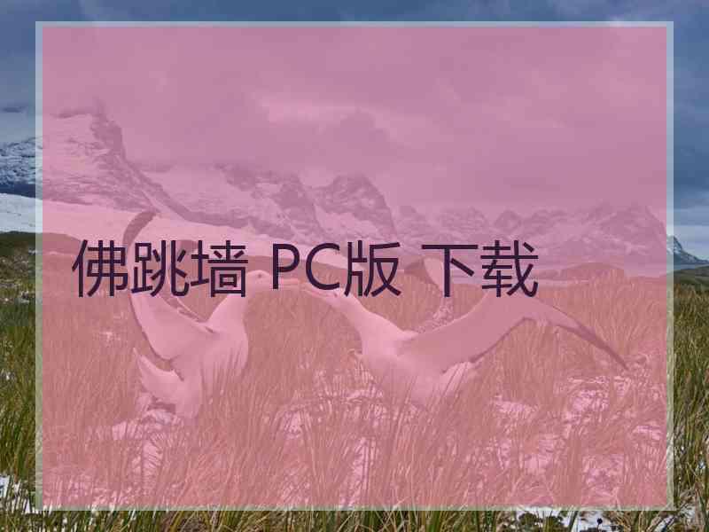 佛跳墙 PC版 下载