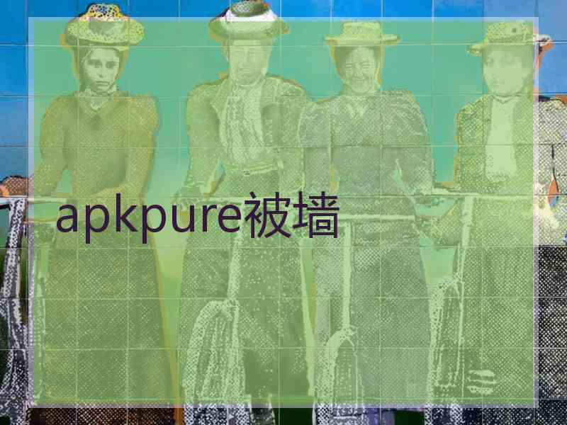 apkpure被墙