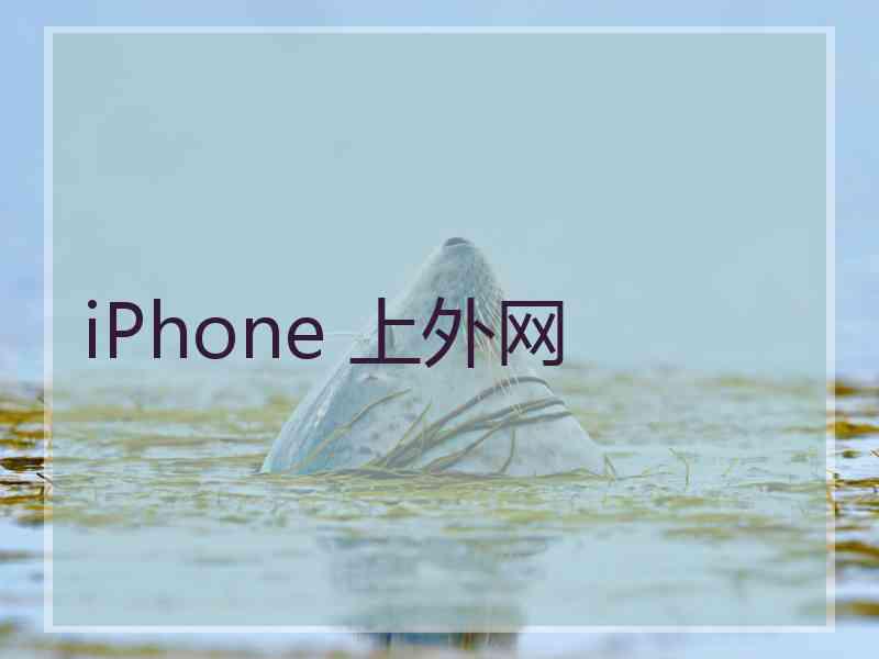 iPhone 上外网