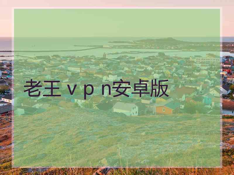 老王 v p n安卓版