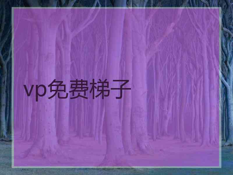 vp免费梯子