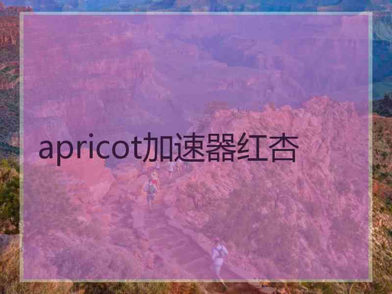 apricot加速器红杏